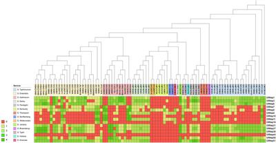 A Cocktail of Three Virulent Phages Controls Multidrug-Resistant Salmonella Enteritidis Infection in Poultry